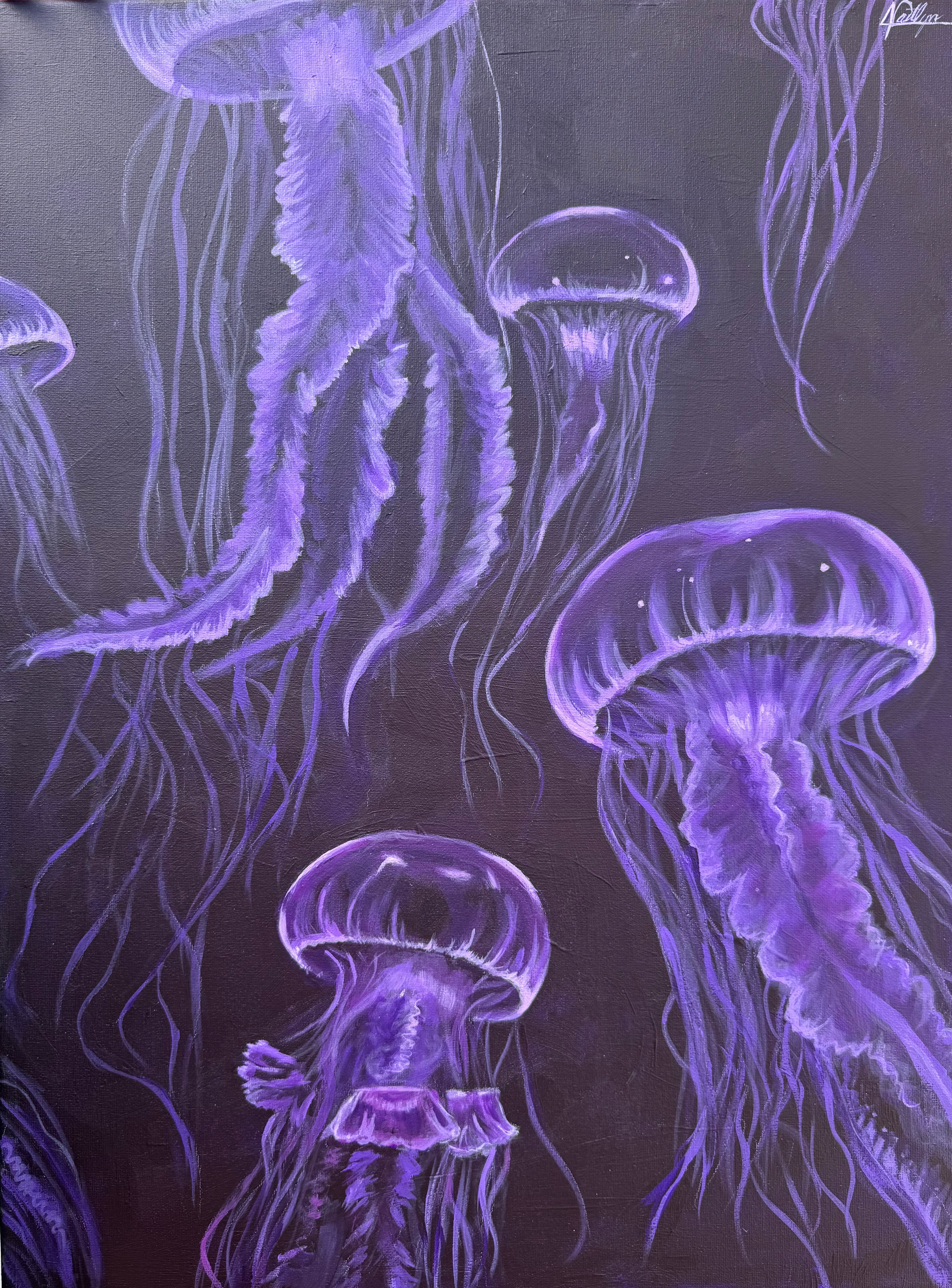Jellyfish